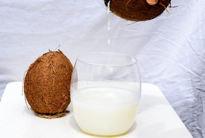 Leche de Coco (Coconut Milk)
